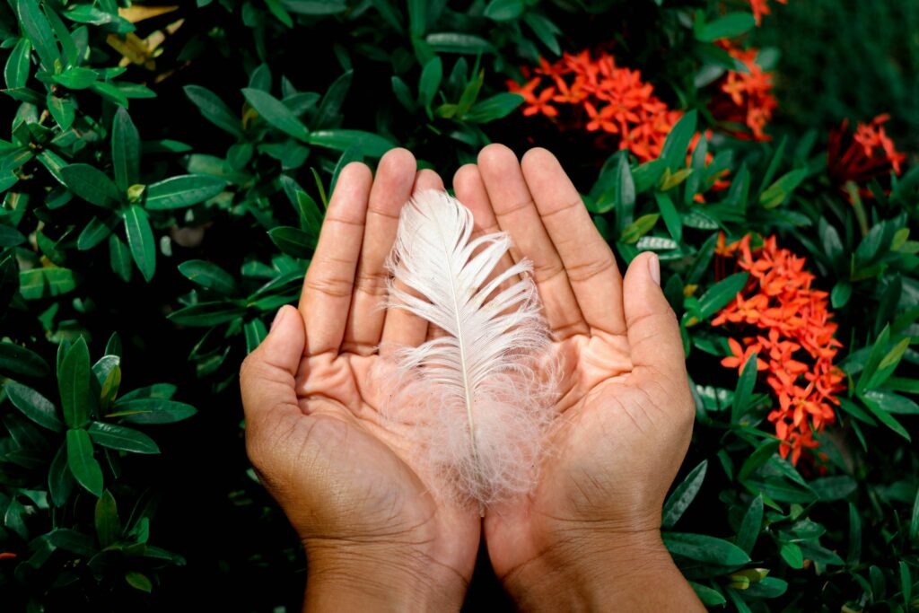 jelilah-kum-vLHghuKS6i0-unsplash Hand with a flower